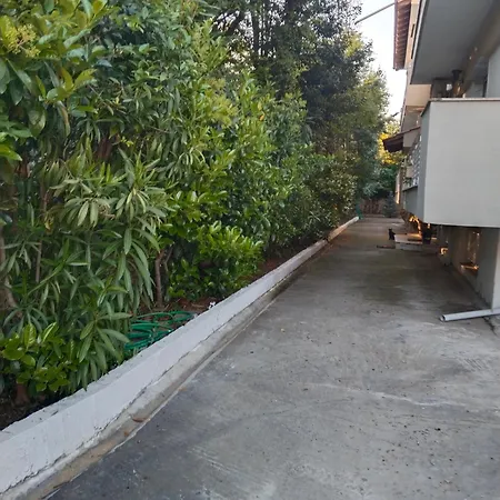 Olga's Apartment3 *